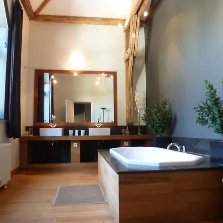Luxury Mansion In Hasti Re Par Del With Swimming Pool Casa vacanze Hastière-Lavaux